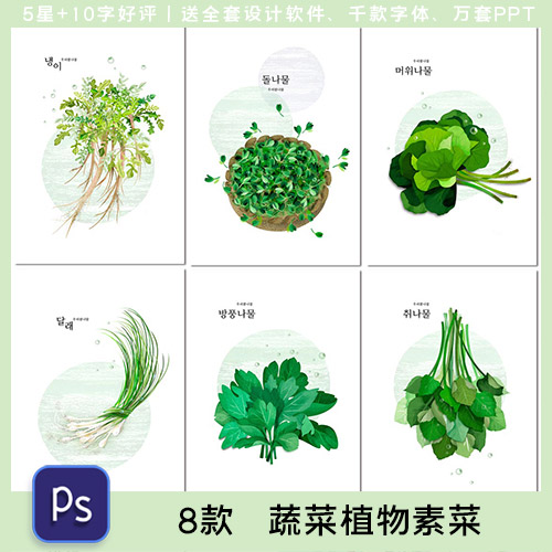 草本植物蔬菜清新新鲜春季手绘绿色自然绘画插画海报素材设计模板