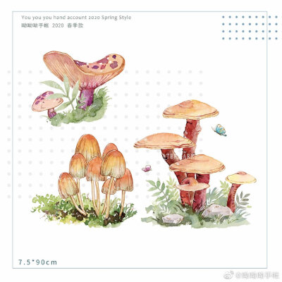 水彩蘑菇