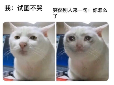 hhhc可可爱爱