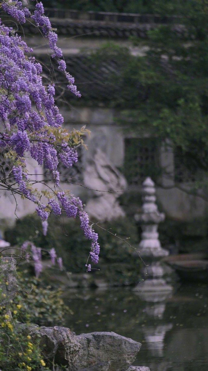 【原创】《浣溪沙》词林正韵
尤爱春阑近小窗，微风吹雨送清凉。朱帘淡淡紫藤香。
细雨结成相思扣，轻雷敲打记忆墙。任由心绪漫飞扬。
文/行云流水
图/设计目录 #诗词# #情感#