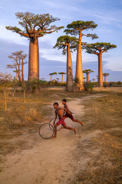 猴面包树大道，马达加斯加（by Steve McCurry）