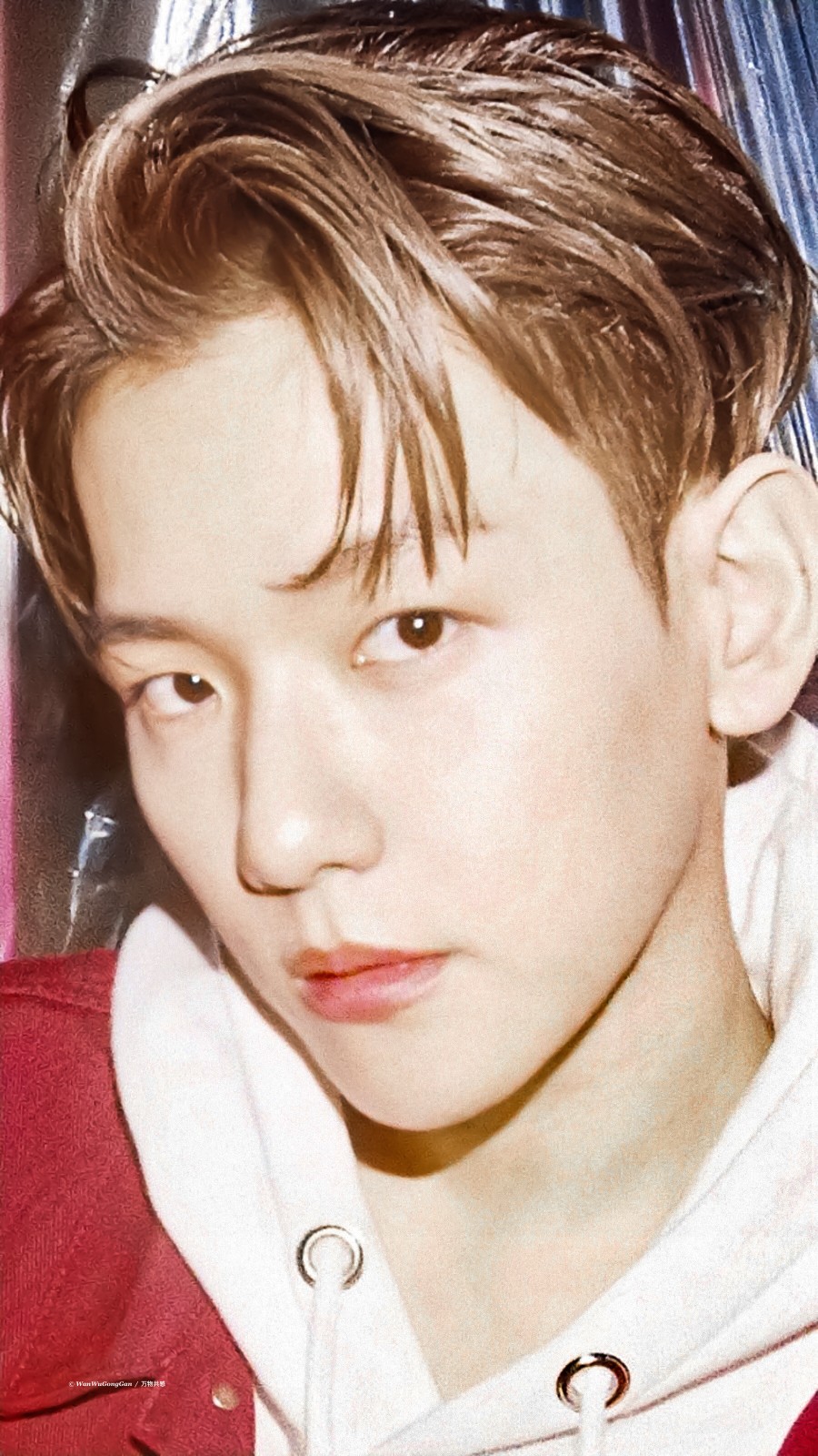 边伯贤·0858555901085601 delight