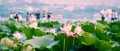 18.07 盛夏杭州