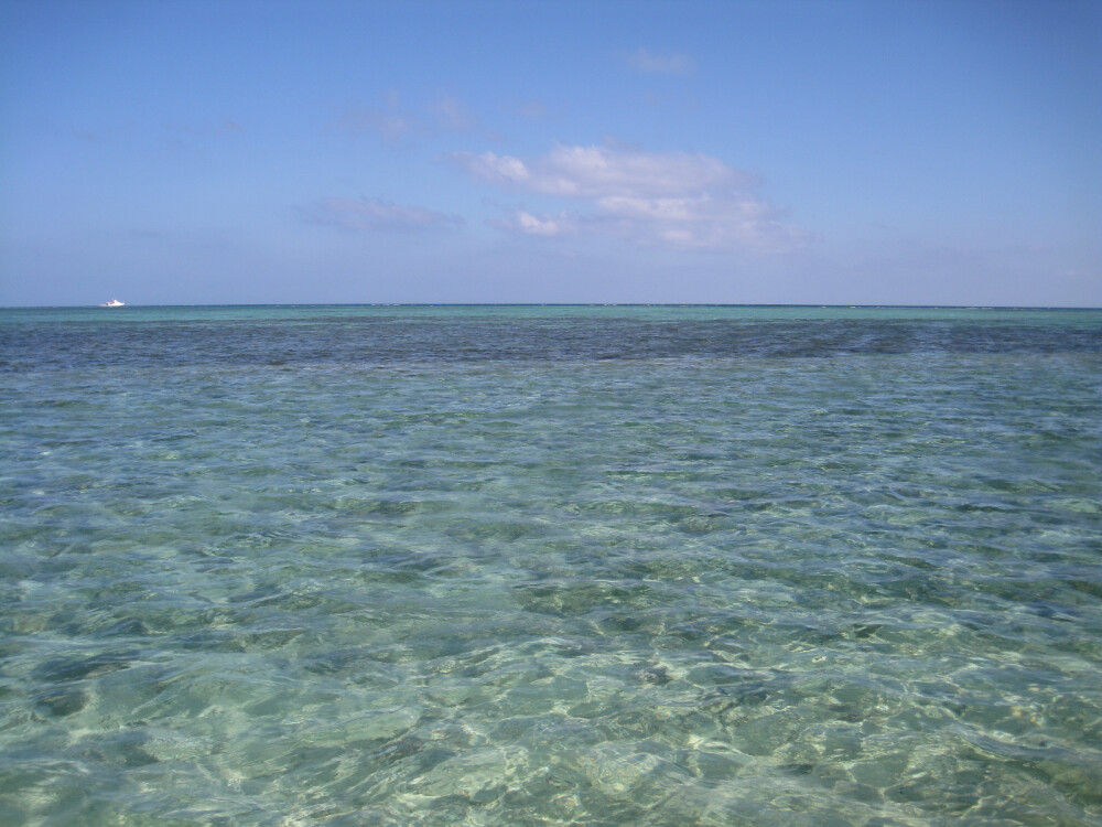 三沙
大海
郑霖