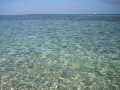 三沙
大海
郑霖