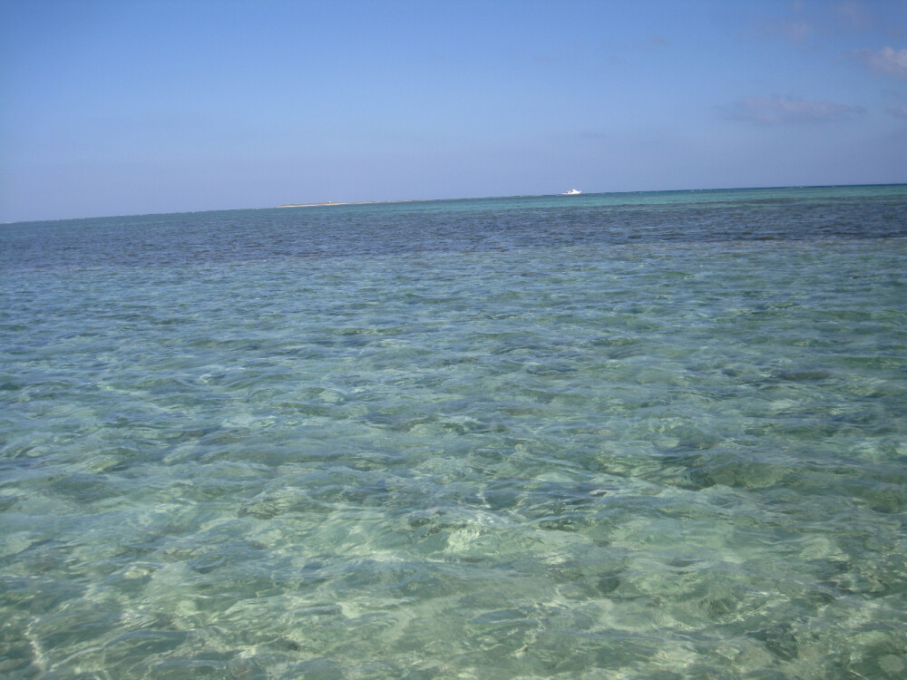 三沙
大海
郑霖