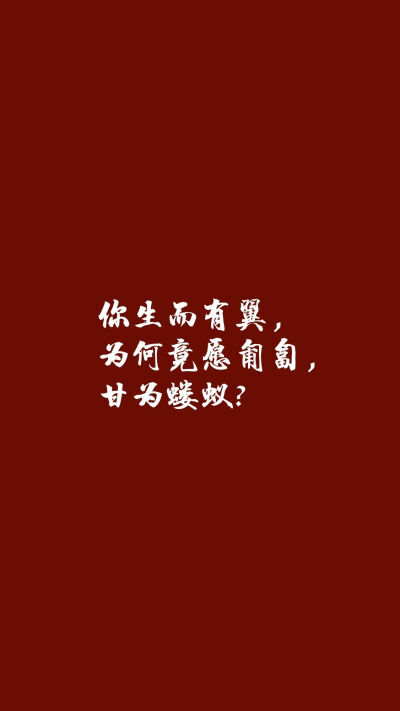 加油.