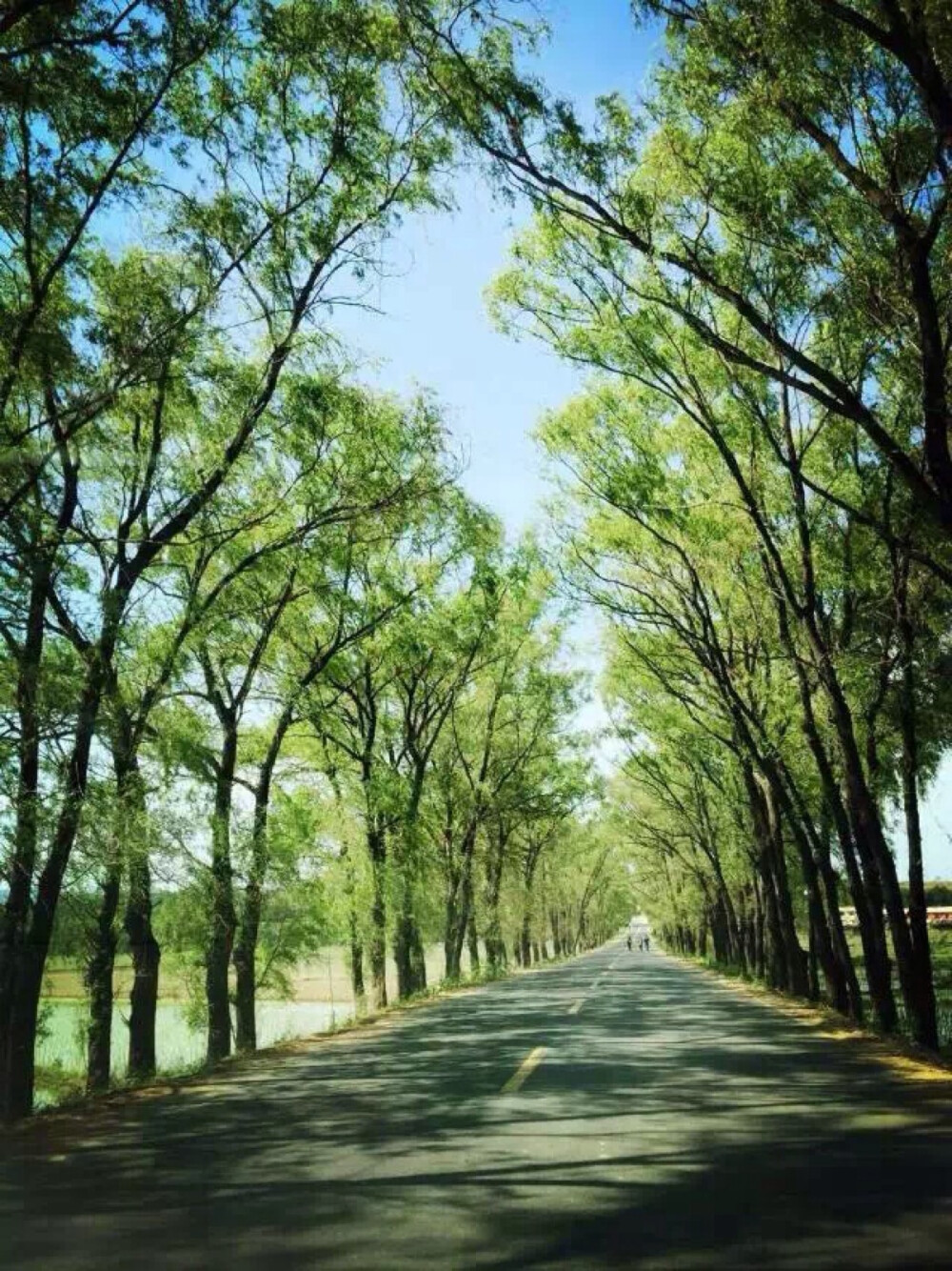 路上风景