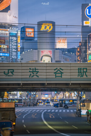 樱花 街道 日本 壁纸
图源水印