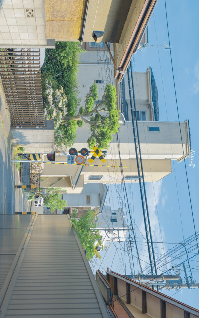 乡村 街道 天空