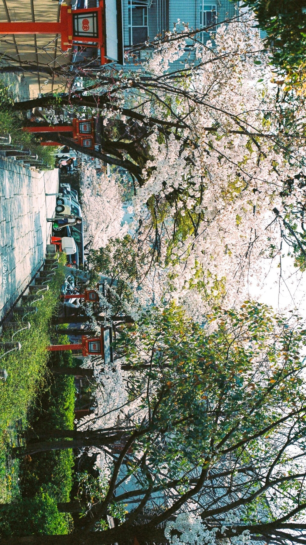 神社 日本 街道 壁纸