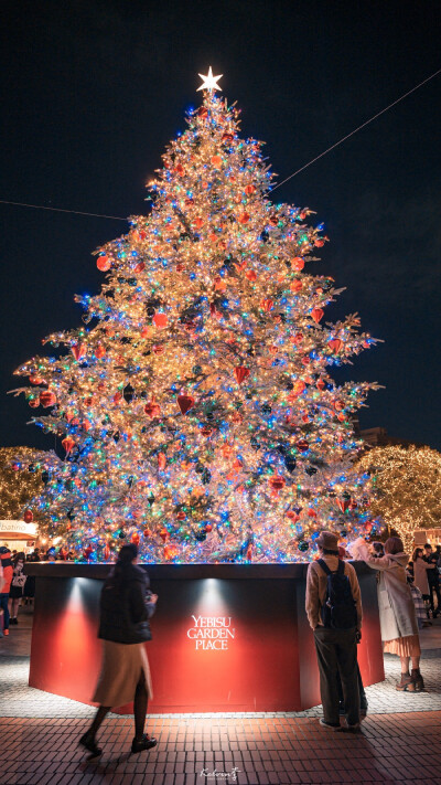 新年快乐 日本 壁纸
图源水印