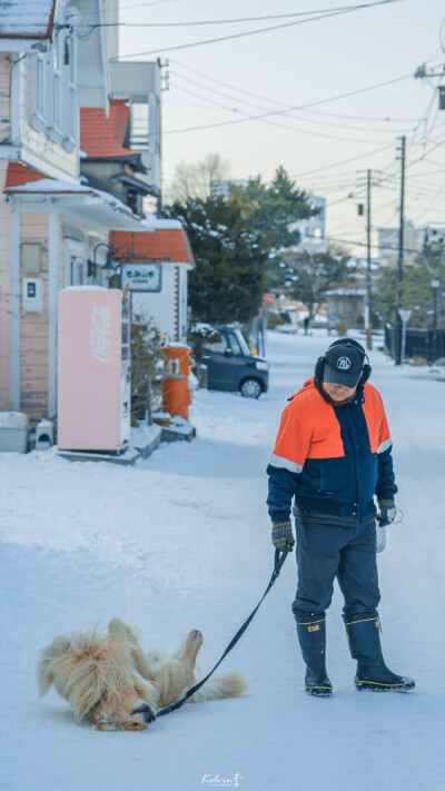 雪 日本 壁纸
图源水印