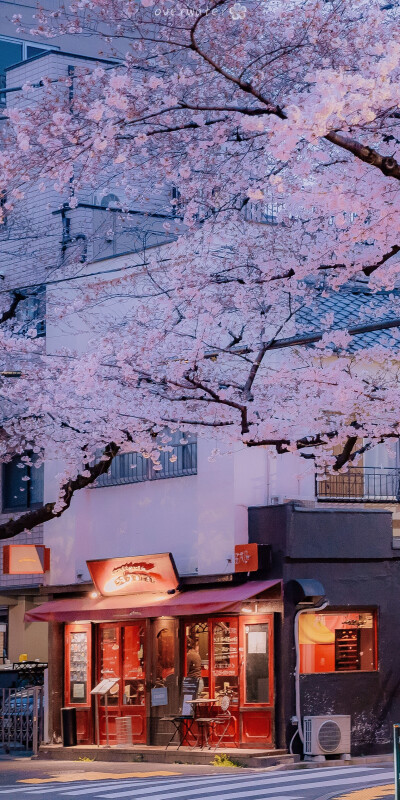 街景 日本 夜 壁纸
图源水印