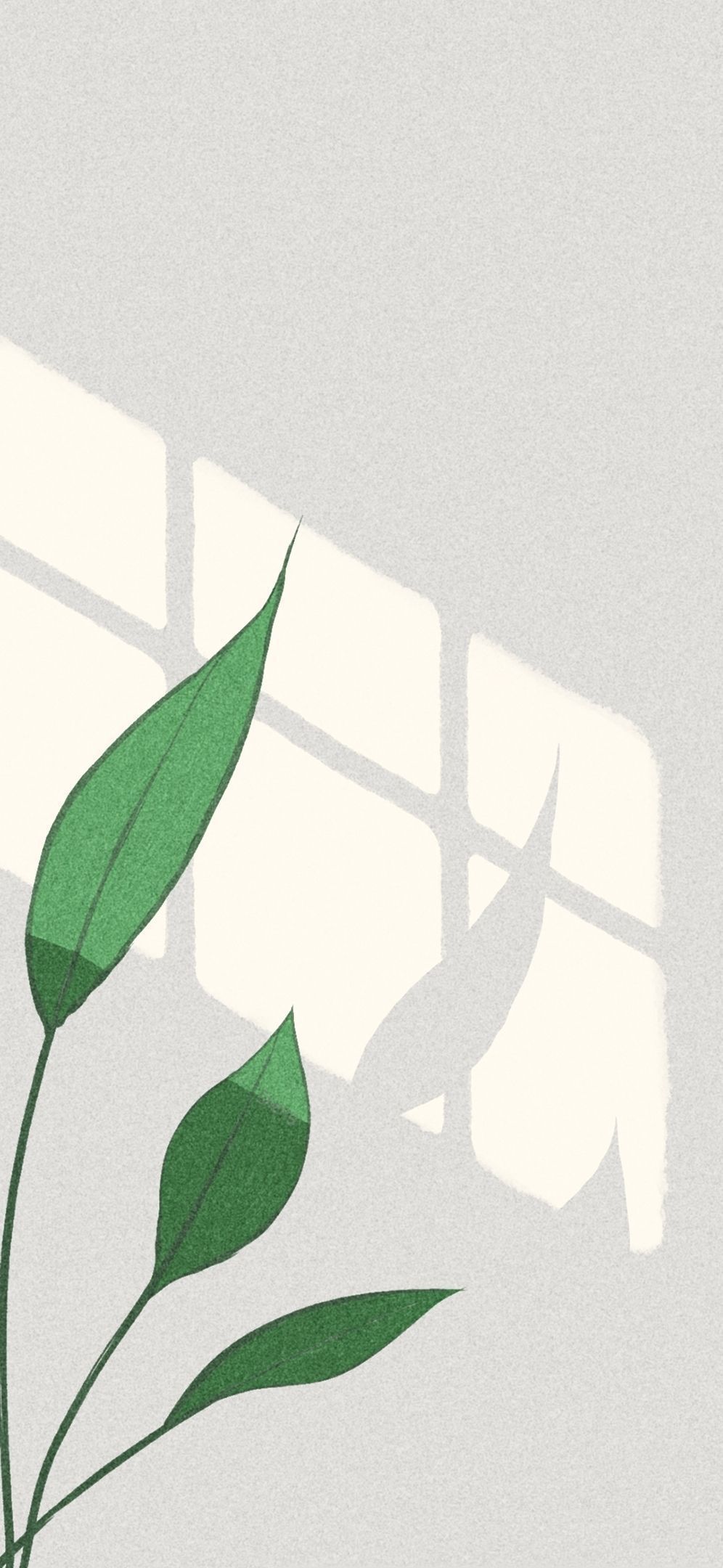 夏日壁纸
转自最右