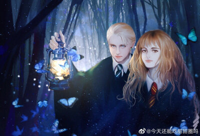 德赫 汤艾 手绘
Hermione Granger, Emma Watson; Draco Malfoy, Tom Felton
作者[weibo@今天还能吃甜甜圈吗]