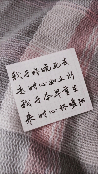 壁纸 文字控