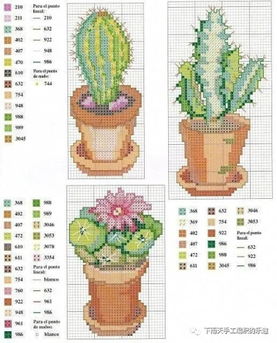 十字绣图纸•多肉植物