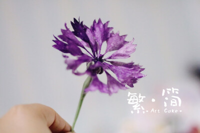 手作威化纸花花儿们~
可以吃的颜值花花