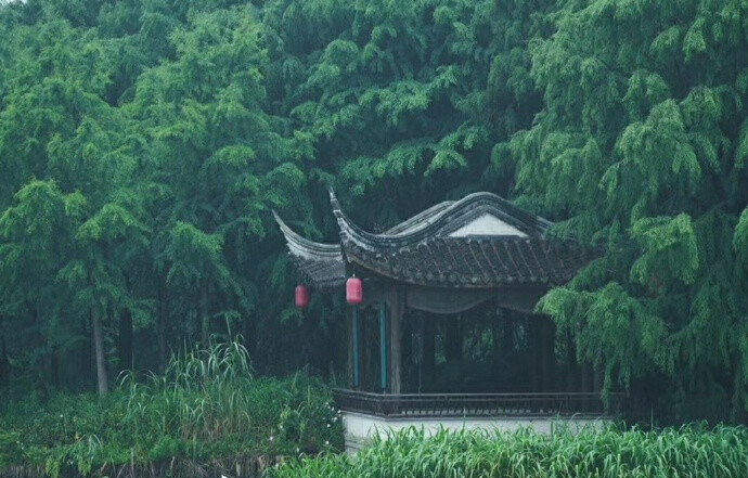 【原创小诗】《茧》
我一直躲在日子的后面
喜欢阳光，却又害怕阳光
风总是无来由的，吹过我的肩膀
我蜷缩着身体，抱紧自己
有些伤痛，会一直疯长成记忆
在夏日里蔓延，结出青涩
谁还在苦守着绿色的风，任残红满地
分不清白天和黑夜，分不清爱恨
我有时在想，是该弯下腰身
还是，该把脊背挺直
一只蝴蝶飞了，留下一个残茧
多像我这破旧的皮囊
文/陈宝文，笔名墨篱、云舒，河北省平泉市人，喜欢自由自在的生活，2015年开始学习写作诗歌。 （关注 @一诗一文 发现诗意生活、每天给你温暖陪伴 ）
图/书香古语#诗词# #情感# 