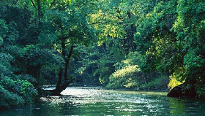 【原创小诗】《茧》
我一直躲在日子的后面
喜欢阳光，却又害怕阳光
风总是无来由的，吹过我的肩膀
我蜷缩着身体，抱紧自己
有些伤痛，会一直疯长成记忆
在夏日里蔓延，结出青涩
谁还在苦守着绿色的风，任残红满地
分不清白天和黑夜，分不清爱恨
我有时在想，是该弯下腰身
还是，该把脊背挺直
一只蝴蝶飞了，留下一个残茧
多像我这破旧的皮囊
文/陈宝文，笔名墨篱、云舒，河北省平泉市人，喜欢自由自在的生活，2015年开始学习写作诗歌。 （关注 @一诗一文 发现诗意生活、每天给你温暖陪伴 ）
图/书香古语#诗词# #情感# 