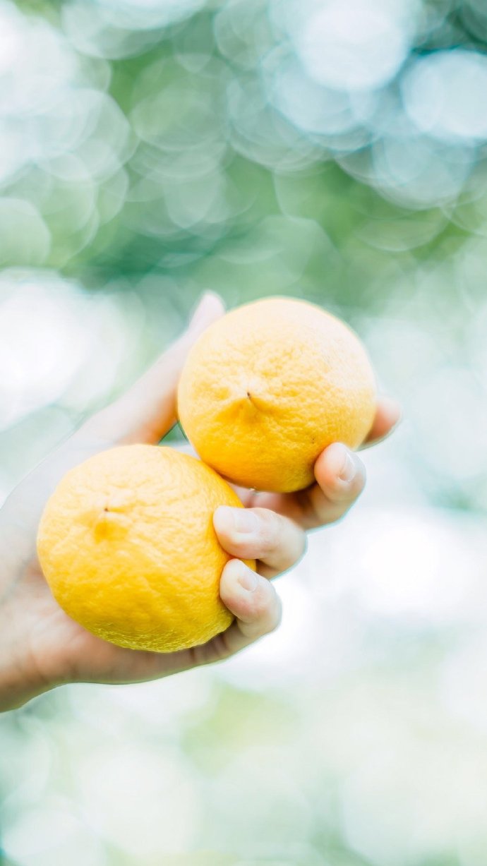 希望这个夏天可以凉爽一点（壁纸 背景图 高清 简约 夏季 锁屏 电脑 手机 小清新 无印 ）