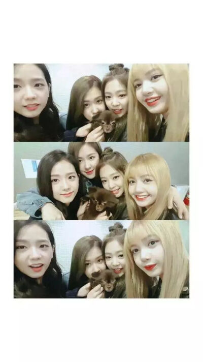 布莱品客ღ(๑╯◡╰๑ღ