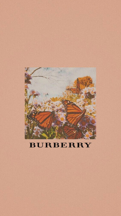 壁纸Burberry