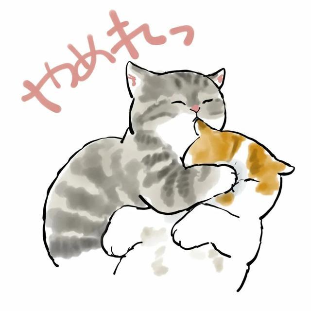 猫咪头像‖很抱歉呼啦圈没能让我这只猫变瘦
©ins：mofu_sand ​​​