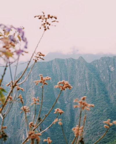 花开花谢花漫天