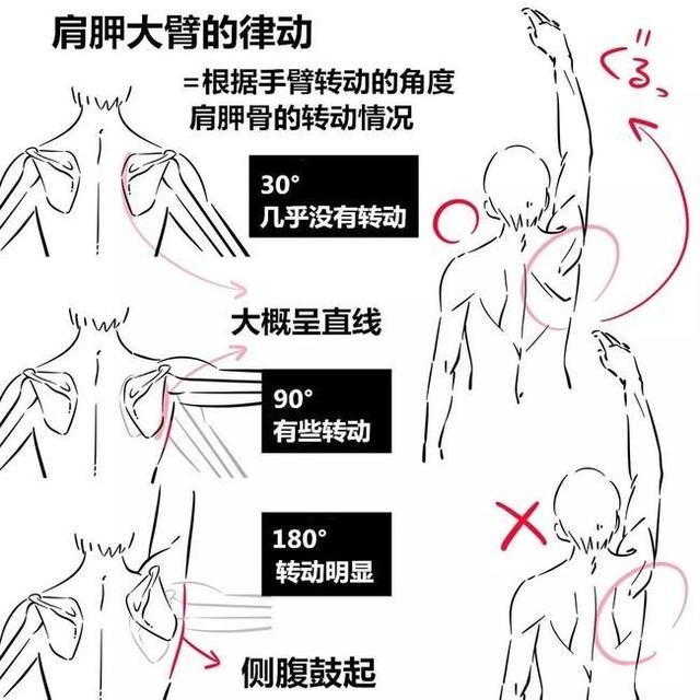 【4+网课知识分享】自学群很多同学只会画“女孩子”而不会画“男孩子”！大家也是这样吧？抖冷哭（狗头）【自学辅导群：878 603 361，送7000多张人体参考，每周布置小练习/免费辅导】#名动漫##绘画##插画##壁纸##板绘##作品赏析##美图##作品欣赏##绘画学习#