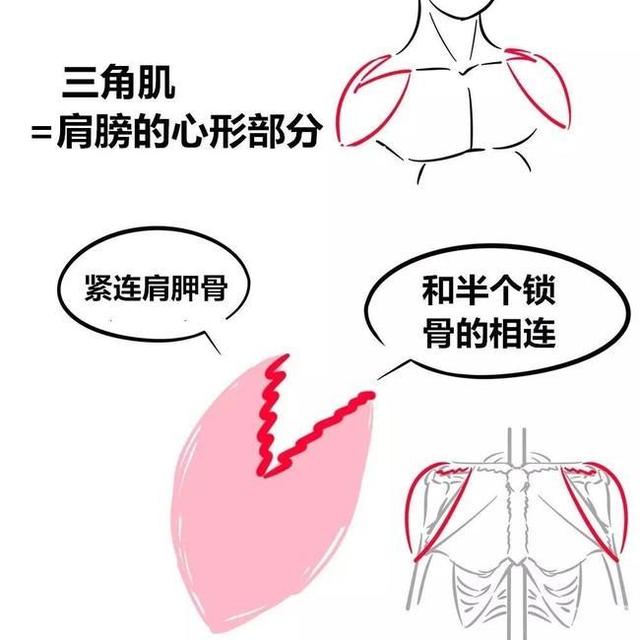 【4+网课知识分享】自学群很多同学只会画“女孩子”而不会画“男孩子”！大家也是这样吧？抖冷哭（狗头）【自学辅导群：878 603 361，送7000多张人体参考，每周布置小练习/免费辅导】#名动漫##绘画##插画##壁纸##板绘##作品赏析##美图##作品欣赏##绘画学习#