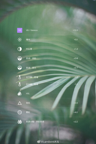 跟大家分享一组夏日高级莫兰迪绿滤镜，这次调成冷冷耐看的绿色，很适合公园和森林的调调～
.
调色软件：VSCO
拼图文字：黄油相机
.
VSCO滤镜调色参数：
滤镜V6＋12.0 曝光＋0.1 对比度+1.2 色调：阴影＋0.8 色…