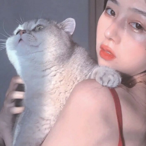 ins风抱猫女生头像