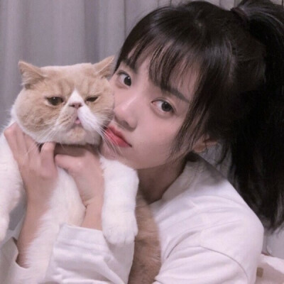 ins风抱猫女生头像