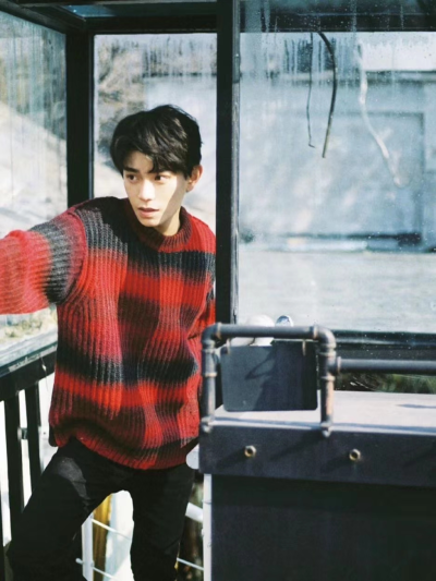 ｜壁纸｜丁禹兮
这个六月你心动了吗