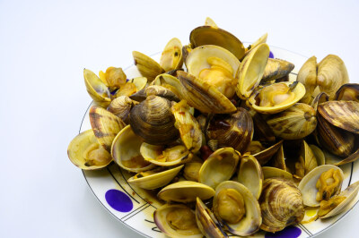 炒蛤蜊 蛤蜊 炒 炒菜 美食 食物 烹调 烹饪 容器 盘子 瓷盘 异形盘 白色瓷盘 圆盘子 静物 食品 中国 新鲜 特写 海鲜 贝壳 饮食 美味 形状 白色背景 摄影 亚洲 健康食物 海产 甲壳动物 有机食品 食物状态 营养 饮食文…