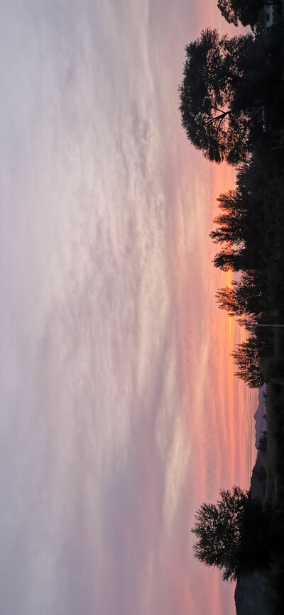 夏天的夜晚，寂静而狂欢
