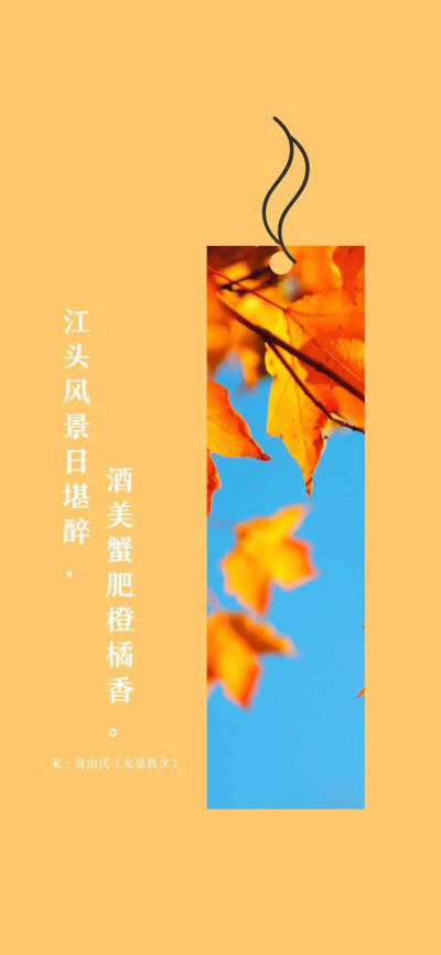 书签，但是最后张不是