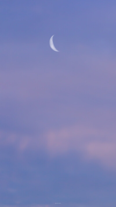 【紫色系】手机壁纸