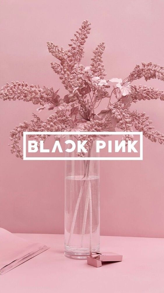 分享一波Blackpink 的壁纸 