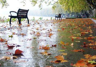 夜来风雨声
花落知多少