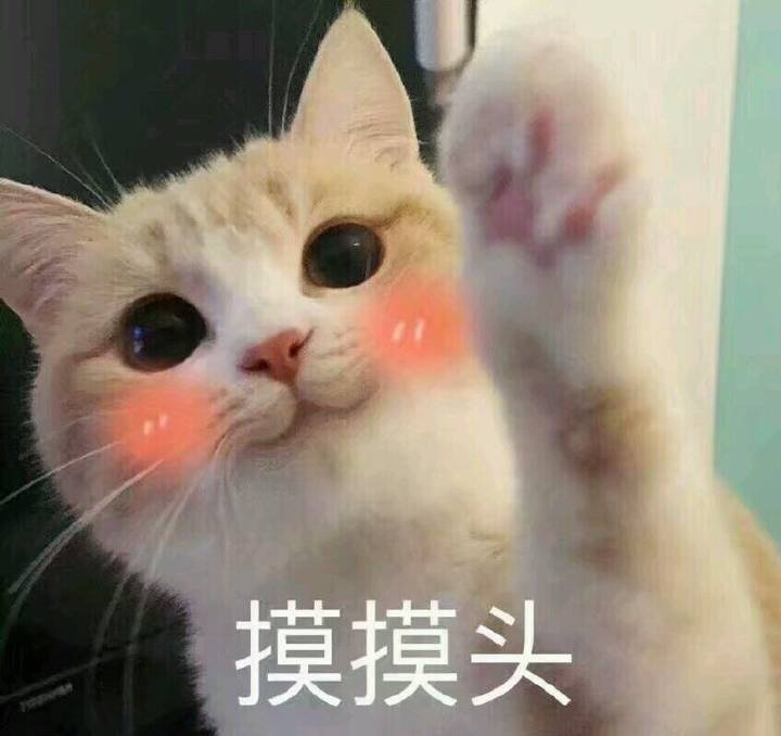 猫猫
摸摸头
表情包