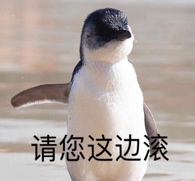 vb：表情包
表情包可爱表情包可爱图片沙雕表情包收藏点赞么么哒