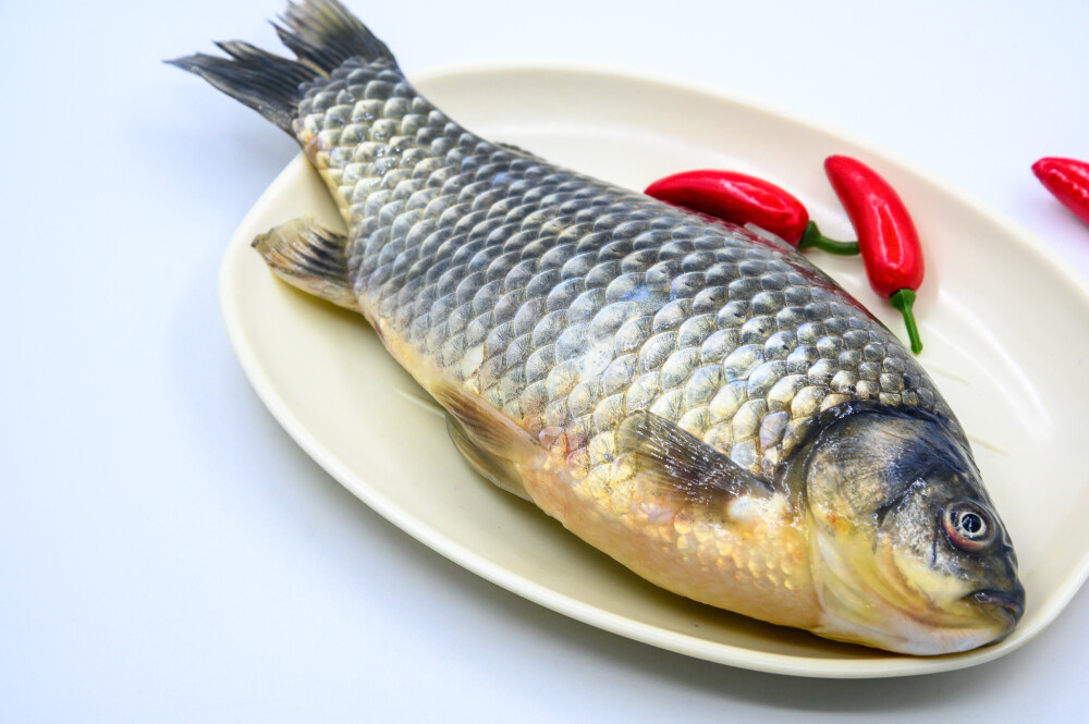 鲫鱼 生物 水生生物 水产品 海产品 鱼类 海鲜 狗杠鱼 推浪鱼 沙逛鱼 地龙鱼 天浪鱼 光鱼 海鱼 新鲜 动物 海洋动物 室内 食材 食物 待加工 烹饪 野生鱼 捕捞 特写 黑色背景 容器 简单背景 白瓷盘 瓷器 整条鱼 饮食 营养丰富 中国 葱 大葱 蒜 大蒜 辣椒 红色 辛辣 佐料 调料
