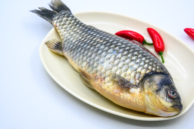 鲫鱼 生物 水生生物 水产品 海产品 鱼类 海鲜 狗杠鱼 推浪鱼 沙逛鱼 地龙鱼 天浪鱼 光鱼 海鱼 新鲜 动物 海洋动物 室内 食材 食物 待加工 烹饪 野生鱼 捕捞 特写 黑色背景 容器 简单背景 白瓷盘 瓷器 整条鱼 饮食 营…