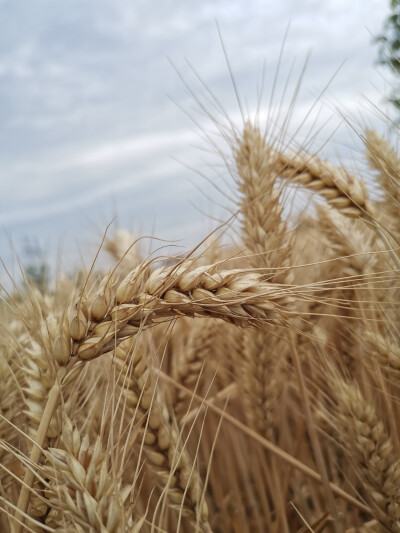 夏季