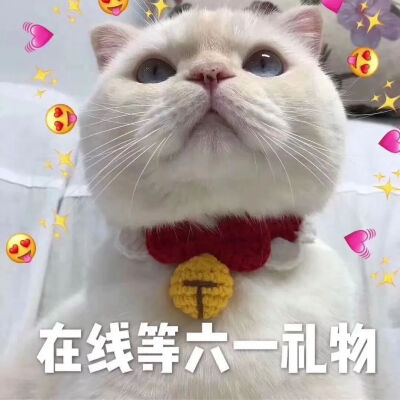 可爱猫咪 六一儿童节表情包