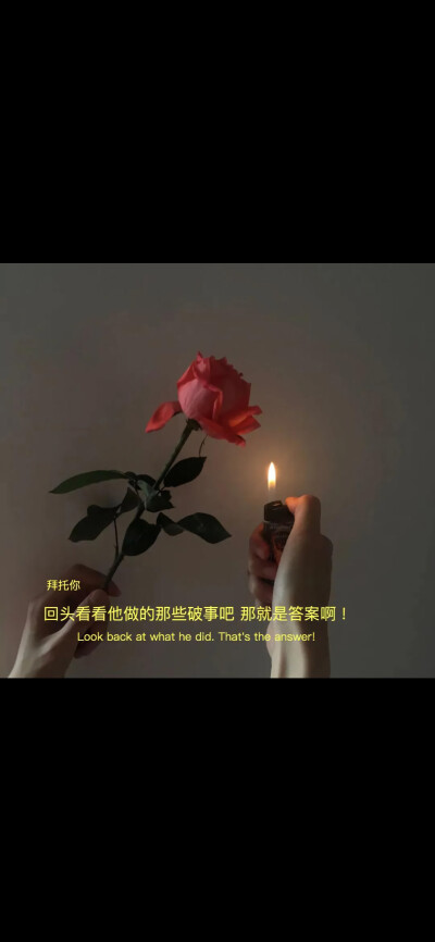 图片文字、情感、爱情