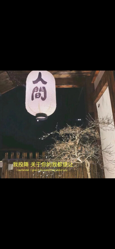 图片文字、情感、爱情